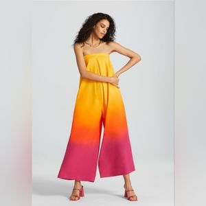 Gabrielle Union ombre jumpsuit